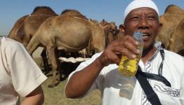 صورة معبرة