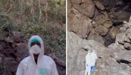 ظهور عالم الفيروسات المتهم بنشر فيروس كورونا وسط ملايين الكائنات الغريبة