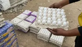 البيض في غزة