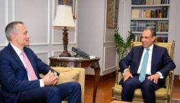 وزير الخارجية المصري  وملادينوف