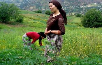 صورة تعبيرية