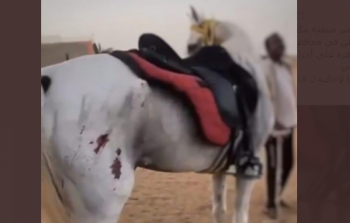 جانب من الفيديو