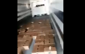 جانب من الفيديو