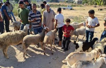 صورة توضيحية