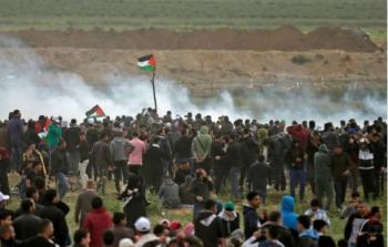 ارشيفية