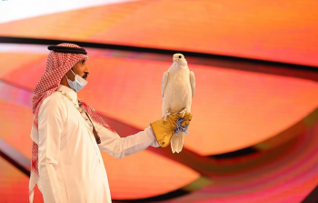 بيع اغلى صقر في السعودية