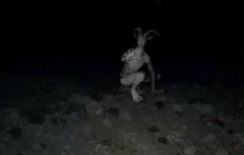 صورة ارشيفية