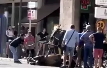 جانب من الفيديو