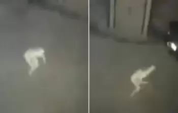 جانب من الفيديو