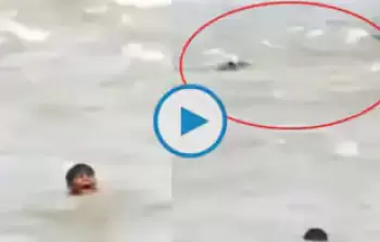 جانب من الفيديو