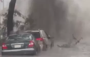 جانب من الفيديو