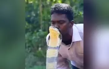 جانب من الفيديو