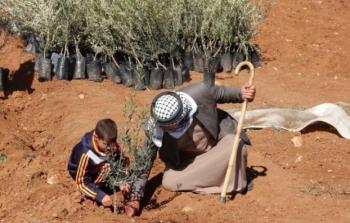 تخضير فلسطين