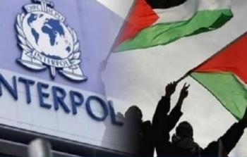 انتربول فلسطين