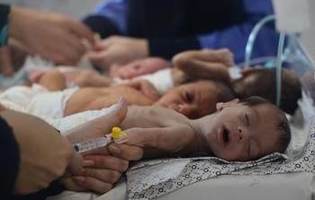 UNICEF/Eyad El Baba مواليد جدد في مستشفى الشفاء بصدد الإخلاء إلى الجنوب.