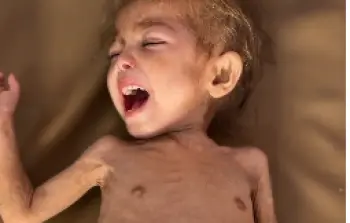 ارجوان الدهيني