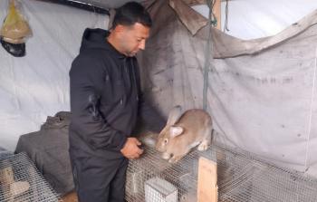 محمد نعيم قديح