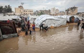 غزة