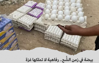 البيض في غزة