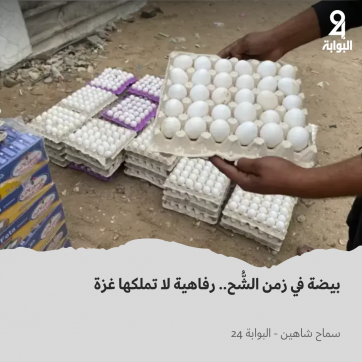 البيض في غزة