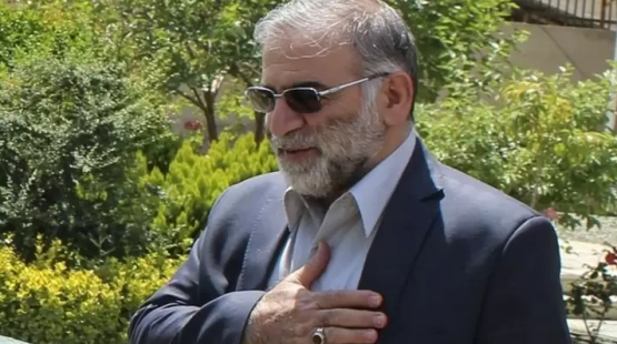محسن فخري زاده