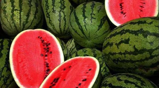 البطيخ