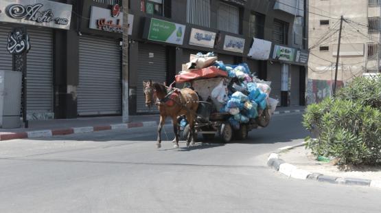 أطنان من النفايات