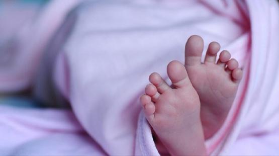 صورة توضيحية