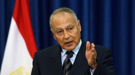 احمد ابو الغيط