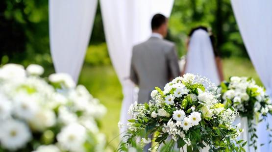 صورة توضيحية
