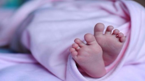 صورة توضيحية