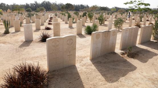 صورة توضيحية