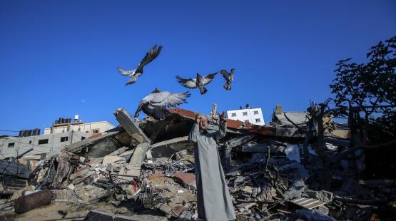 صورة ارشيفية