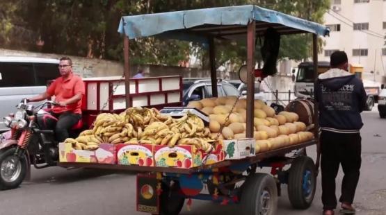 صورة ارشيفية