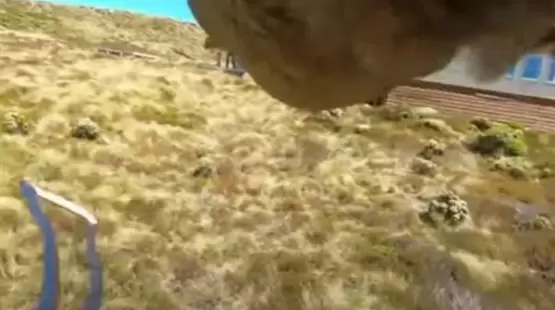 جانب من الفيديو