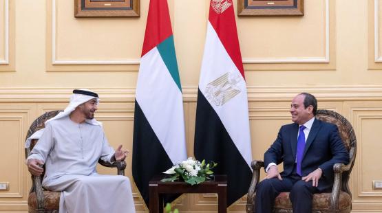 الرئيس عبدالفتاح السيسي والشيخ محمد بن زايد
