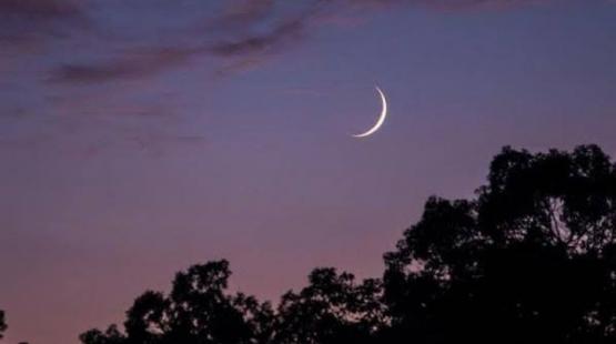 صورة توضيحية