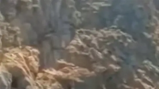 جانب من الفيديو