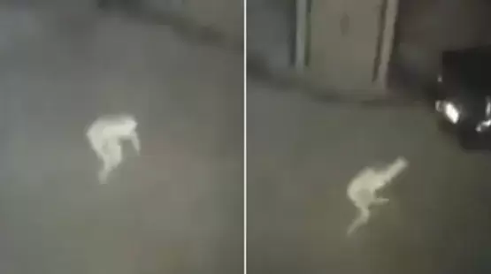 جانب من الفيديو