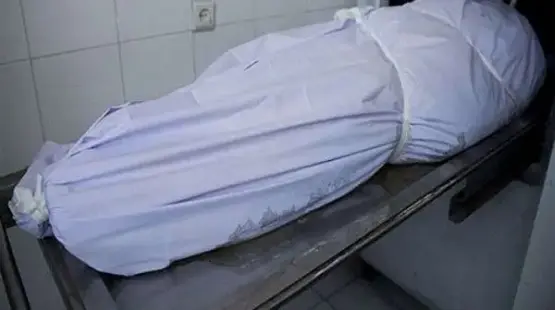 صورة توضيحية