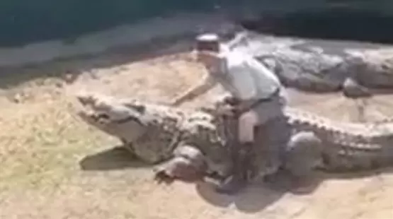 جانب من الحادث
