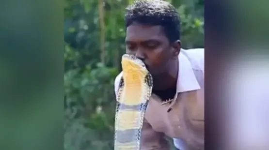 جانب من الفيديو