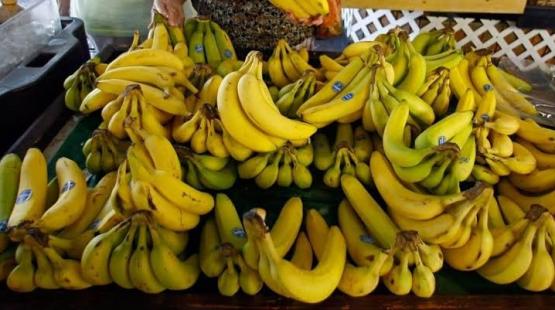 صورة توضيحية