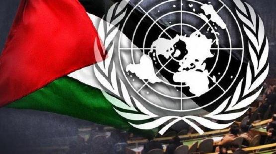 الأمم المتحدة وفلسطين