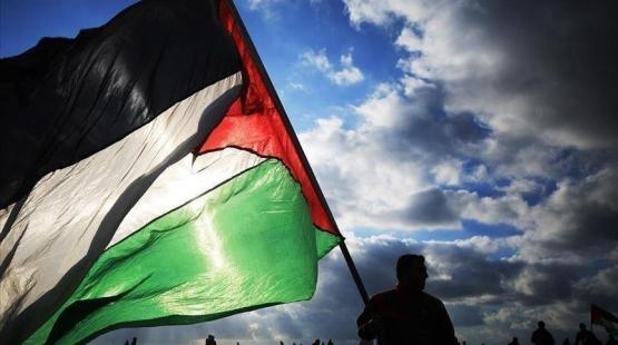 شاب يحمل علم فلسطين