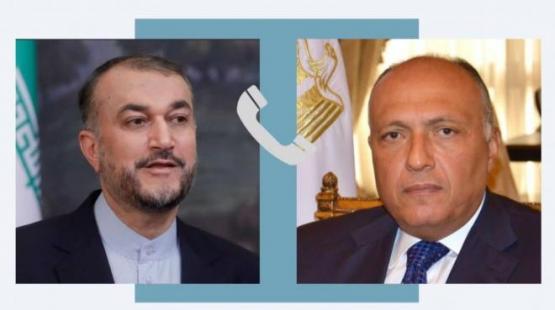 وزير الخارجية المصري سامح شكري ونظير الايراني حسين عبداللهيان