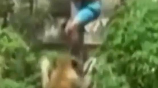 جانب من الفيديو