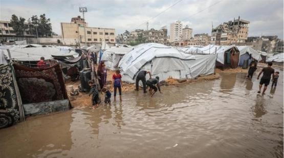 غزة