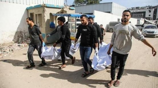 صورة ارشيفية