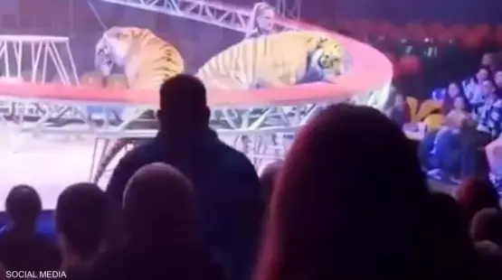 جانب من الفيديو